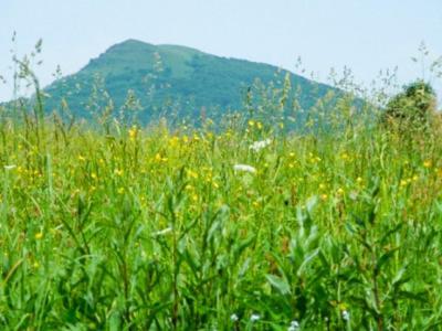 Caloroczne Domki Zacisze Hnatowego Berda W Wetlinie Wetlina Zewnętrze zdjęcie