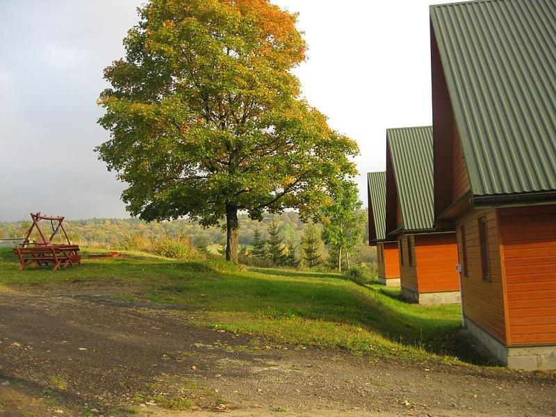 Caloroczne Domki Zacisze Hnatowego Berda W Wetlinie Wetlina Zewnętrze zdjęcie